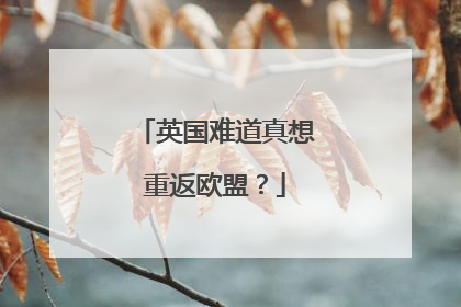 英国难道真想重返欧盟？