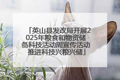 英山县发改局开展2025年粮食和物资储备科技活动周宣传活动 推进科技兴粮兴储