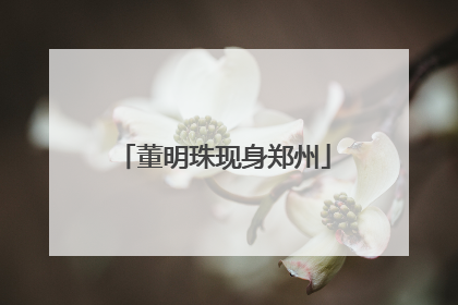 董明珠现身郑州