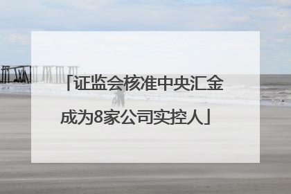 证监会核准中央汇金成为8家公司实控人