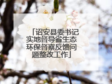 诏安县委书记实地督导省生态环保督察反馈问题整改工作