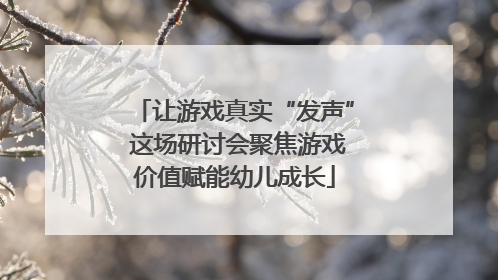 让游戏真实“发声” 这场研讨会聚焦游戏价值赋能幼儿成长