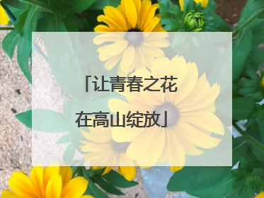 让青春之花在高山绽放