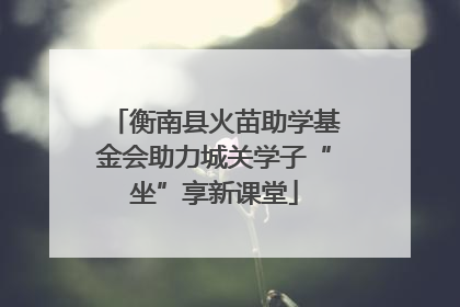 衡南县火苗助学基金会助力城关学子“坐”享新课堂