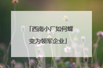 西南小厂如何蝶变为领军企业