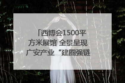 西博会1500平方米展馆 全景呈现广安产业“建圈强链”｜西博视界