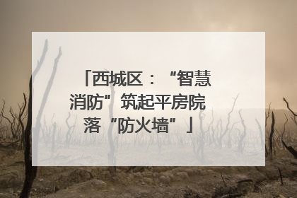 西城区：“智慧消防”筑起平房院落“防火墙”