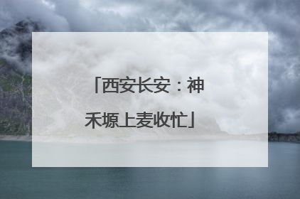 西安长安：神禾塬上麦收忙