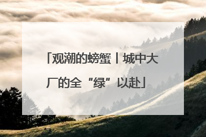观潮的螃蟹丨城中大厂的全“绿”以赴