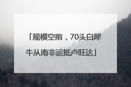 规模空前，70头白犀牛从南非运抵卢旺达