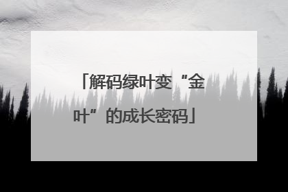 解码绿叶变“金叶”的成长密码