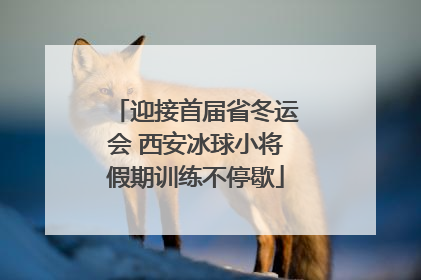 迎接首届省冬运会 西安冰球小将假期训练不停歇