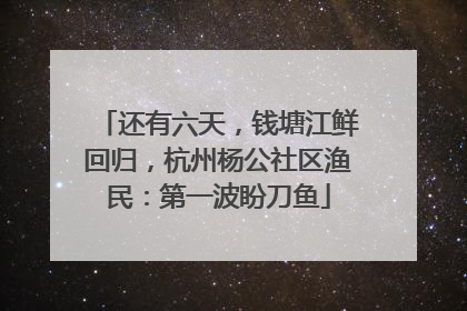 还有六天，钱塘江鲜回归，杭州杨公社区渔民：第一波盼刀鱼