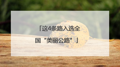 这4条路入选全国“美丽公路”