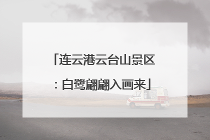 连云港云台山景区：白鹭翩翩入画来