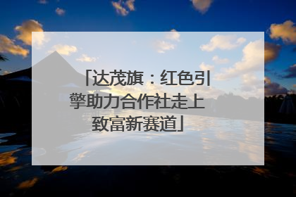 达茂旗：红色引擎助力合作社走上致富新赛道