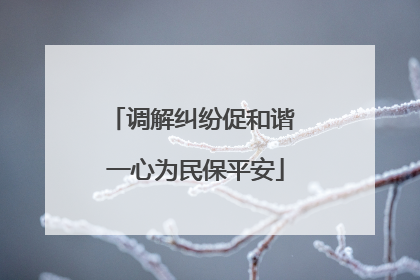 调解纠纷促和谐 一心为民保平安