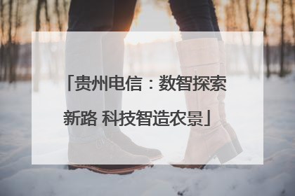 贵州电信：数智探索新路 科技智造农景