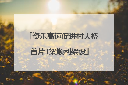 资乐高速促进村大桥首片T梁顺利架设