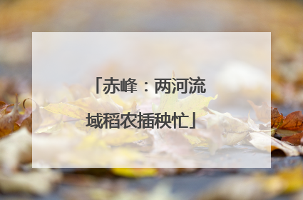 赤峰：两河流域稻农插秧忙