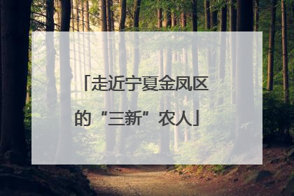 走近宁夏金凤区的“三新”农人