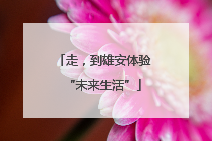 走，到雄安体验“未来生活”