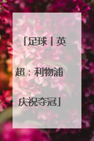 足球丨英超：利物浦庆祝夺冠