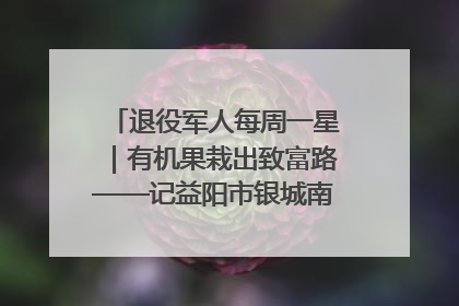退役军人每周一星｜有机果栽出致富路——记益阳市银城南湖蔬果农民专业合作社总经理晏桂明