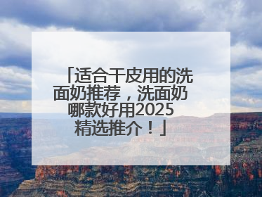 适合干皮用的洗面奶推荐，洗面奶哪款好用2025精选推介！