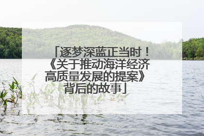 逐梦深蓝正当时！《关于推动海洋经济高质量发展的提案》背后的故事