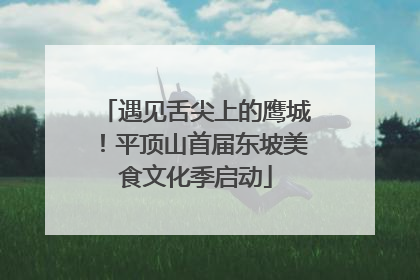 遇见舌尖上的鹰城！平顶山首届东坡美食文化季启动