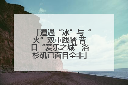遭遇“冰”与“火”双重践踏 昔日“爱乐之城”洛杉矶已面目全非