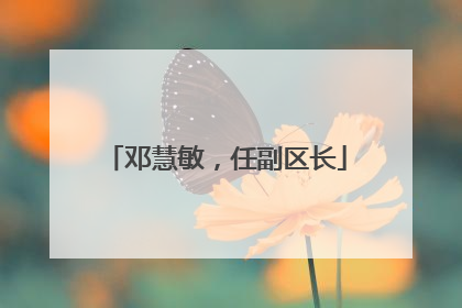 邓慧敏，任副区长