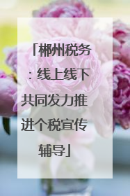 郴州税务：线上线下共同发力推进个税宣传辅导