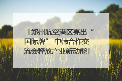 郑州航空港区亮出“国际牌” 中韩合作交流会释放产业新动能