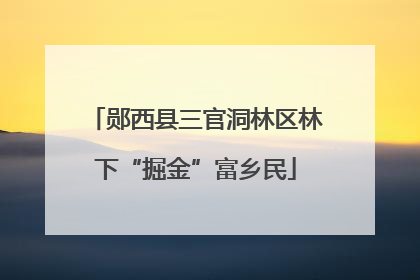 郧西县三官洞林区林下“掘金”富乡民