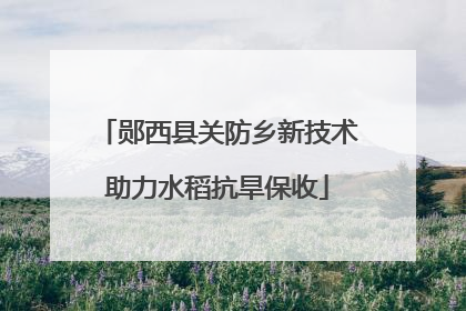 郧西县关防乡新技术助力水稻抗旱保收