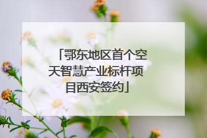 鄂东地区首个空天智慧产业标杆项目西安签约