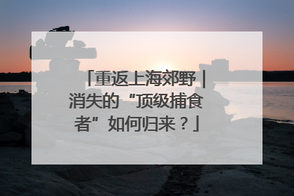 重返上海郊野｜消失的“顶级捕食者”如何归来？