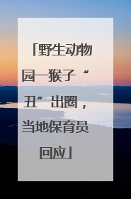 野生动物园一猴子“丑”出圈，当地保育员回应