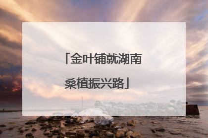 金叶铺就湖南桑植振兴路