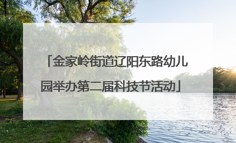 金家岭街道辽阳东路幼儿园举办第二届科技节活动