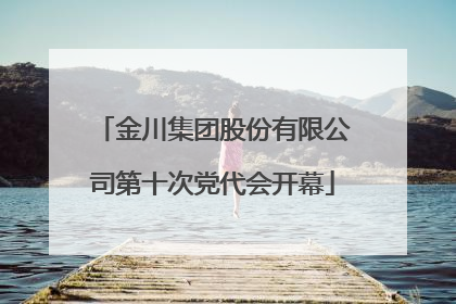 金川集团股份有限公司第十次党代会开幕