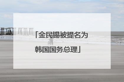 金民锡被提名为韩国国务总理