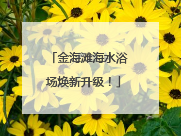 金海滩海水浴场焕新升级！