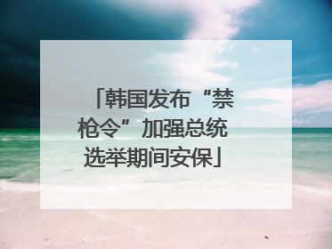 韩国发布“禁枪令”加强总统选举期间安保