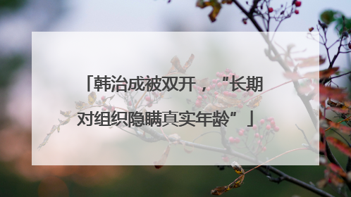 韩治成被双开，“长期对组织隐瞒真实年龄”
