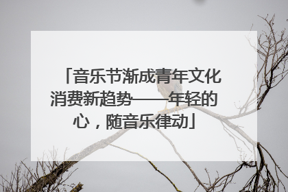 音乐节渐成青年文化消费新趋势——年轻的心，随音乐律动