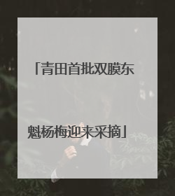 青田首批双膜东魁杨梅迎来采摘