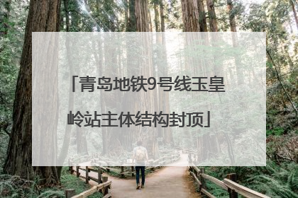 青岛地铁9号线玉皇岭站主体结构封顶